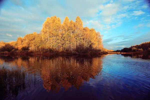秋の森の川の風景 — ストック写真
