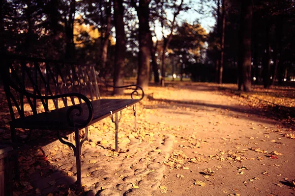 가을 공원에 있는 벤치 — 스톡 사진