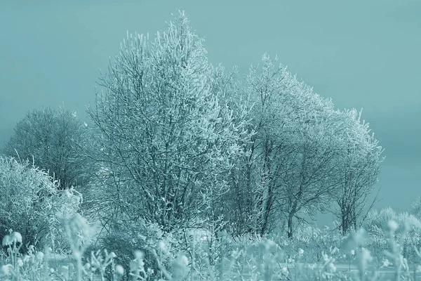 Paysage hivernal enneigé — Photo