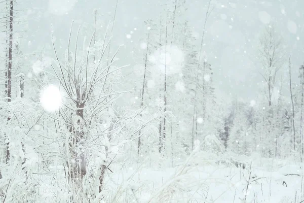 俄罗斯的冬季风景 — 图库照片