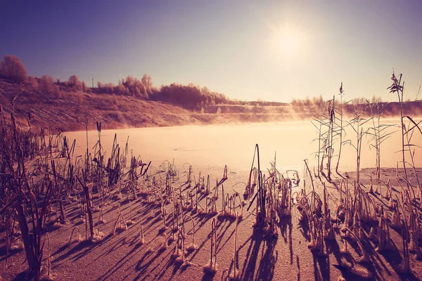 Amazing winter landscape — Stock Photo, Image