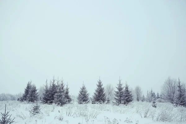 Inverno nevado paisagem — Fotografia de Stock