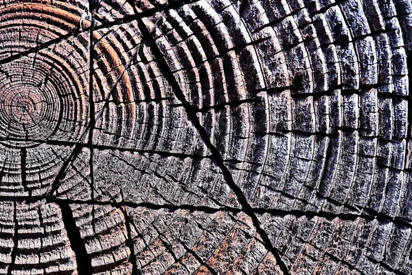Textur der Holzplanken — Stockfoto