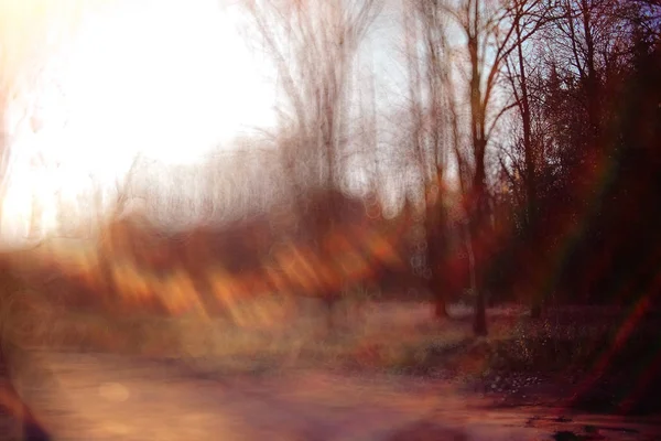 Sentiero di sfondo sfocato nel parco autunnale — Foto Stock