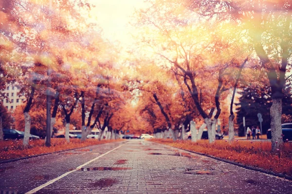 Podzimní park na den — Stock fotografie