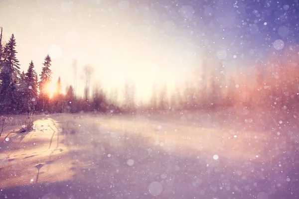 놀라운 겨울 풍경 — 스톡 사진