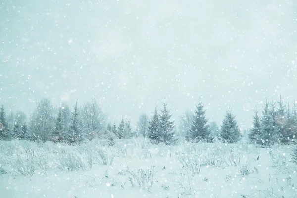 Frosty landscape with trees — Stock Photo, Image