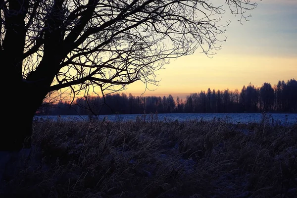 Winternacht landschap — Stockfoto