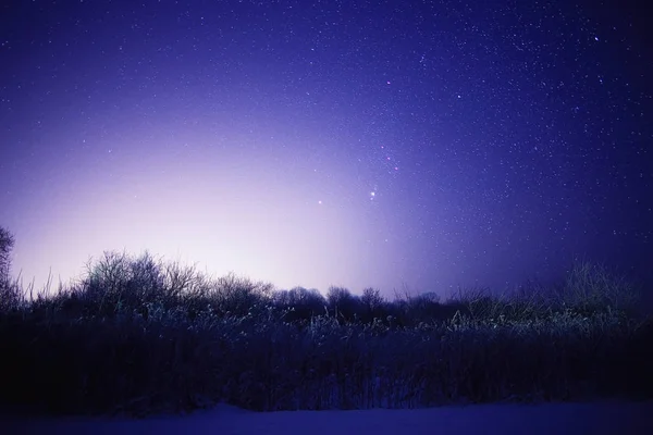 Winter night landscape — Stock Photo, Image