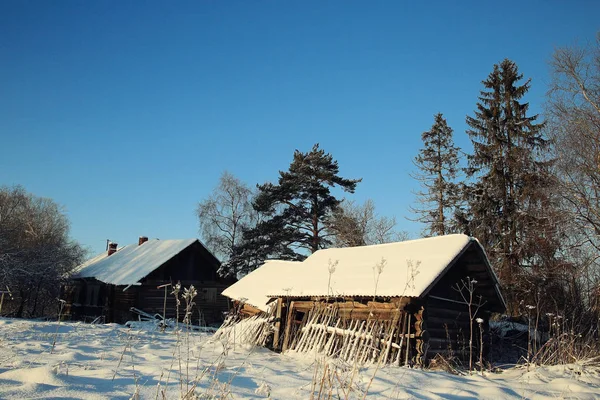 Frosty winter morning nature — Stock Photo, Image