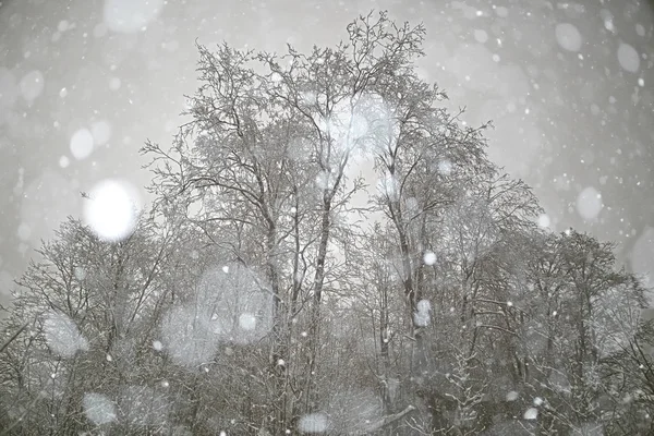 Paisaje invernal en Rusia —  Fotos de Stock