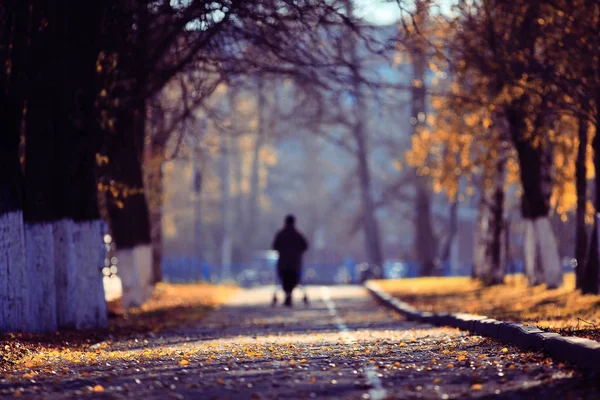 Caminho de fundo desfocado no parque de outono — Fotografia de Stock