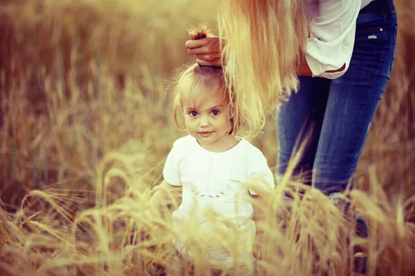 Liten flicka i fält — Stockfoto