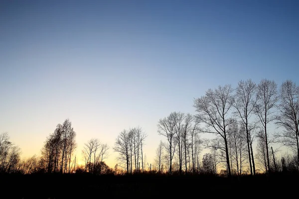 Autunno paesaggio forestale — Foto Stock