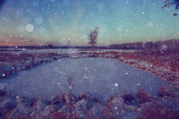 Paysage hivernal avec flocons de neige — Photo