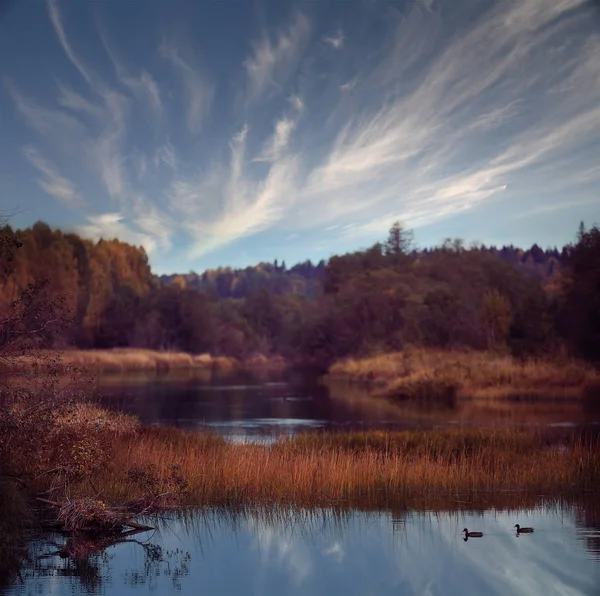 Sonbahar orman nehir manzara — Stok fotoğraf