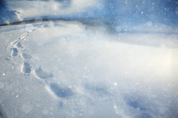 Mänskliga fotavtryck på snö — Stockfoto