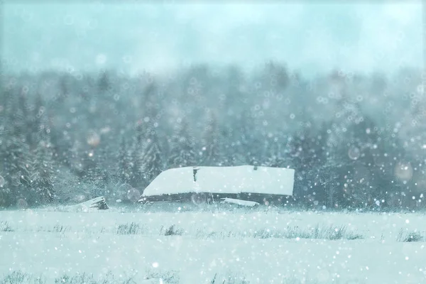 Сельский дом, покрытый снегом — стоковое фото