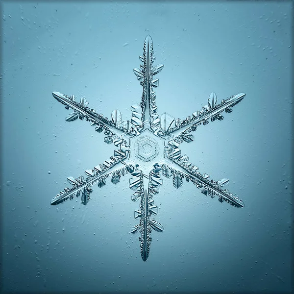 Beautiful snowflake macro shot — Stock Photo, Image