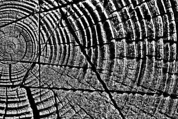 Texture of wooden planks — Stock Photo, Image