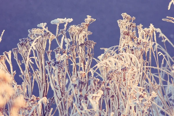Natuur winterlandschap — Stockfoto
