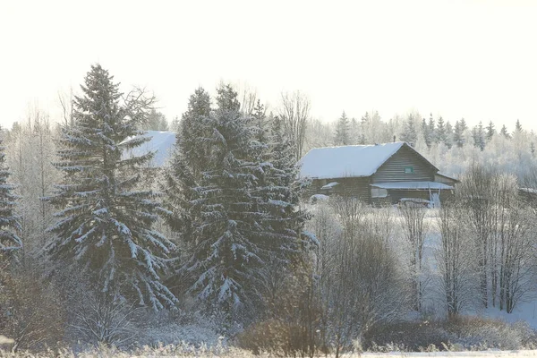 Зимний пейзаж в сельской местности — стоковое фото
