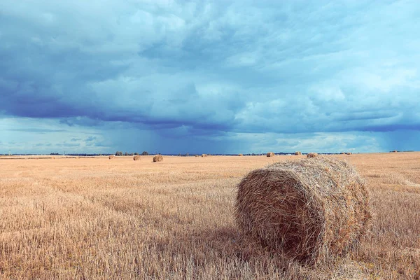 Paisaje de pajar en un campo — Foto de Stock