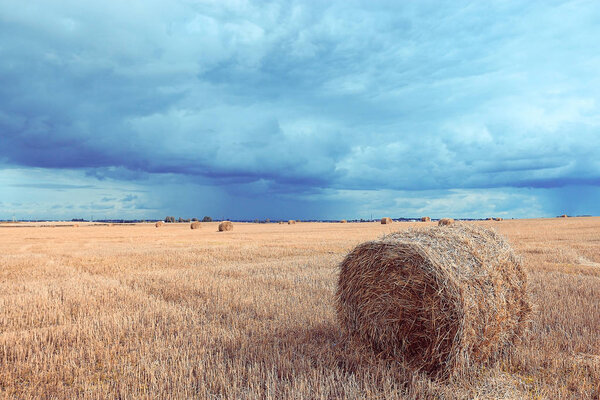 landscape of haystacks in a field