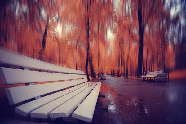 Herfst in het stadspark — Stockfoto