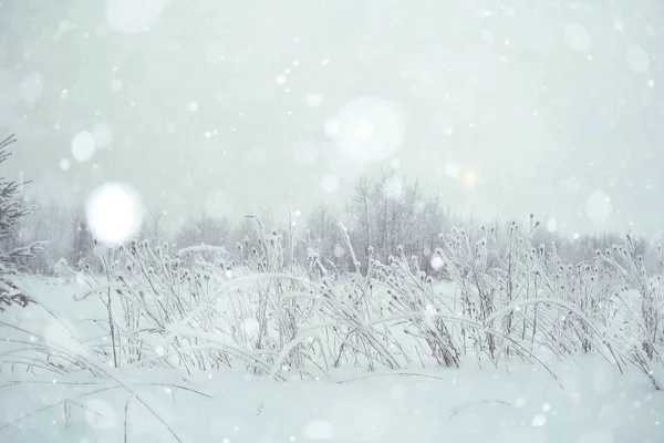 Snö i vinterlandskapet — Stockfoto