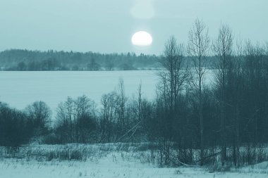 ağaçları ile donuk peyzaj