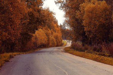 Sonbahar manzara otoyol