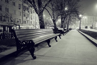 kış gece parkta