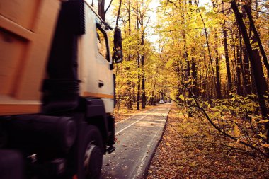 bir şehir parkı güneşli manzara