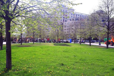 Şehir parkında sonbahar