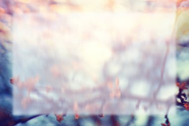 Bahar çiçekleri güneş ışığı altında