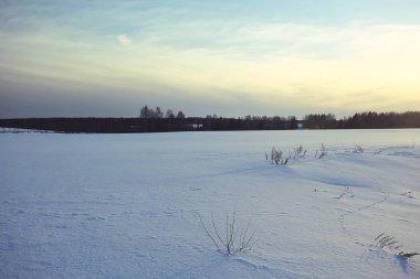 Karlı kış kırsal manzara