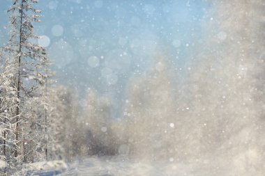 Kar taneleri ile kış manzarası