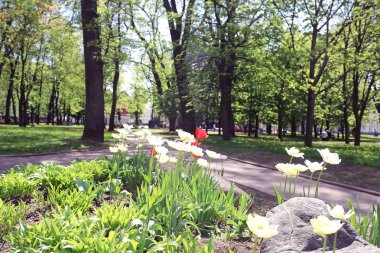Bahar Park sokakta