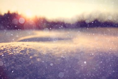 taze kar kış orman