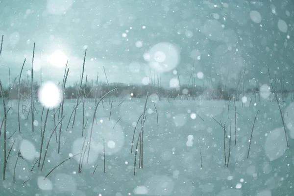 Nieve en el paisaje invernal — Foto de Stock