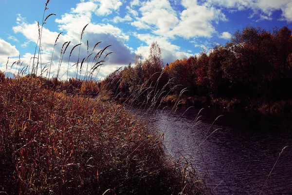 Autumn Forest river landscape — Stock Photo, Image