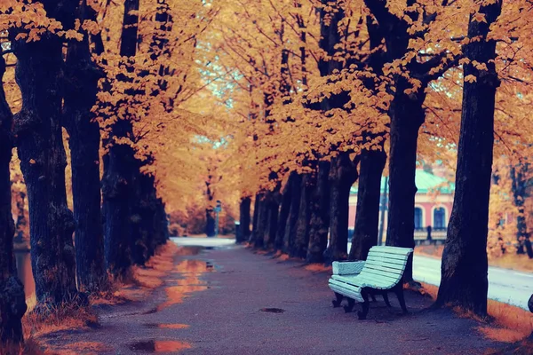 Autumn in the city park — Stock Photo, Image