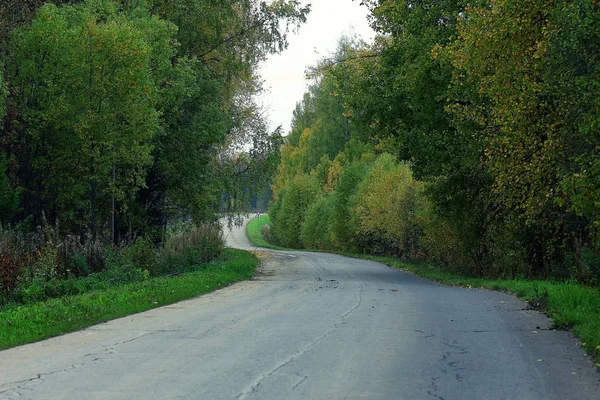 Осінь в міському парку — стокове фото