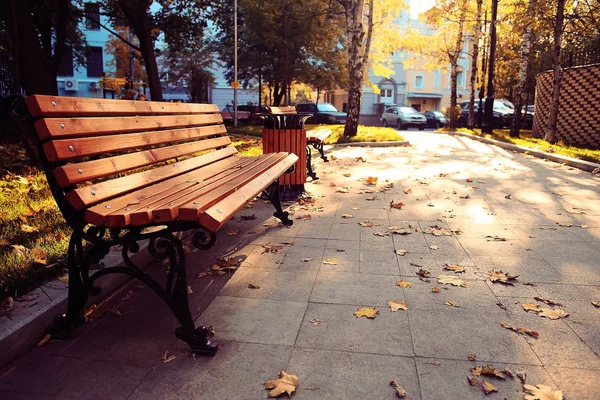 Hösten i stadsparken — Stockfoto