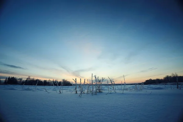 Vintersnölandskap — Stockfoto