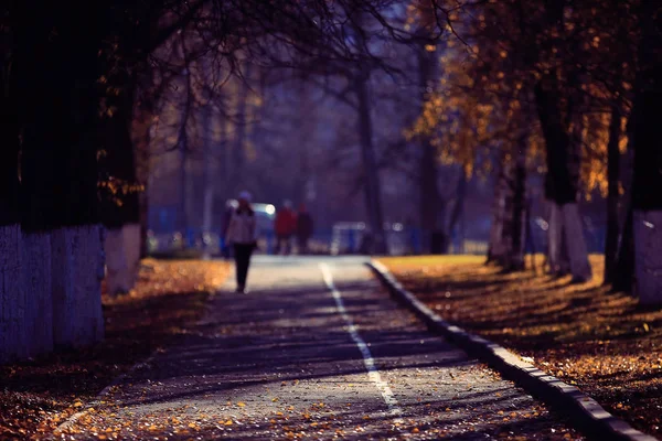 Onscherpe achtergrond pad in herfst park — Stockfoto