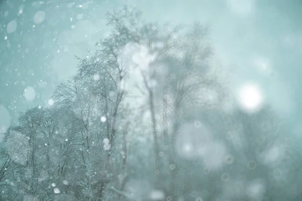 令人沮丧的下雪的冬天 — 图库照片