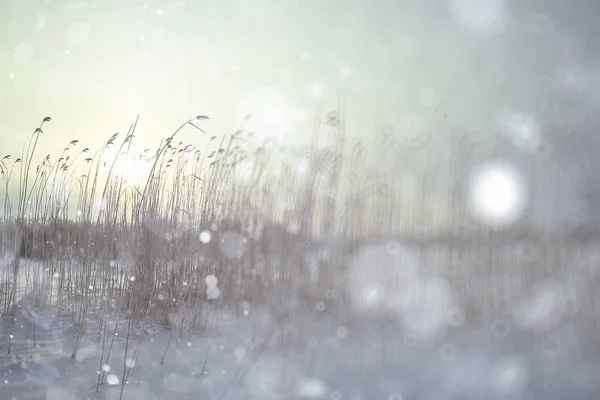 Invierno nevado sombrío — Foto de Stock