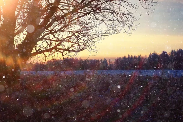 Verbazingwekkende winterlandschap — Stockfoto